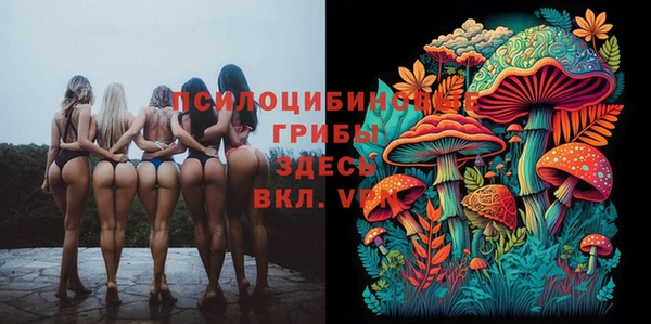 мескалин Сатка