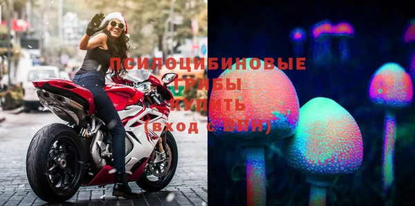 COCAINE Гвардейск